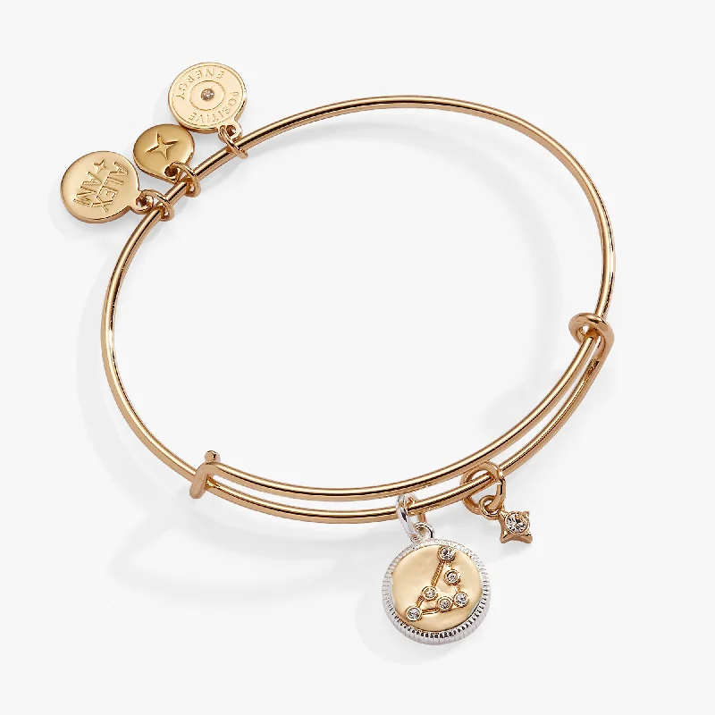 Capricorn Zodiac Charm Bangle