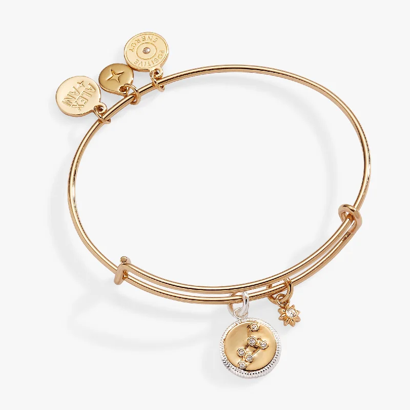 Leo Zodiac Charm Bangle